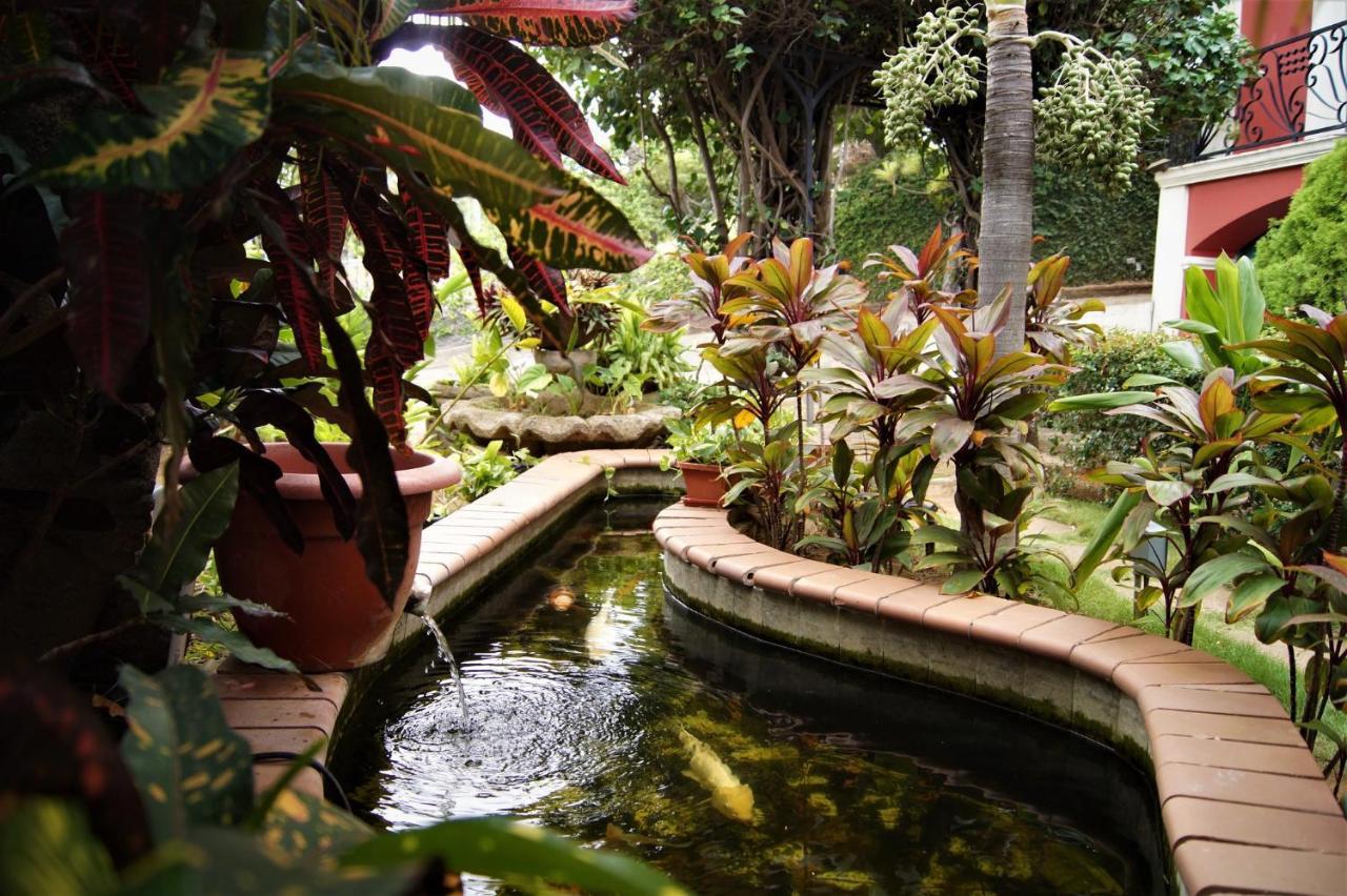 Los Altos Apartments & Studios Managua Eksteriør billede