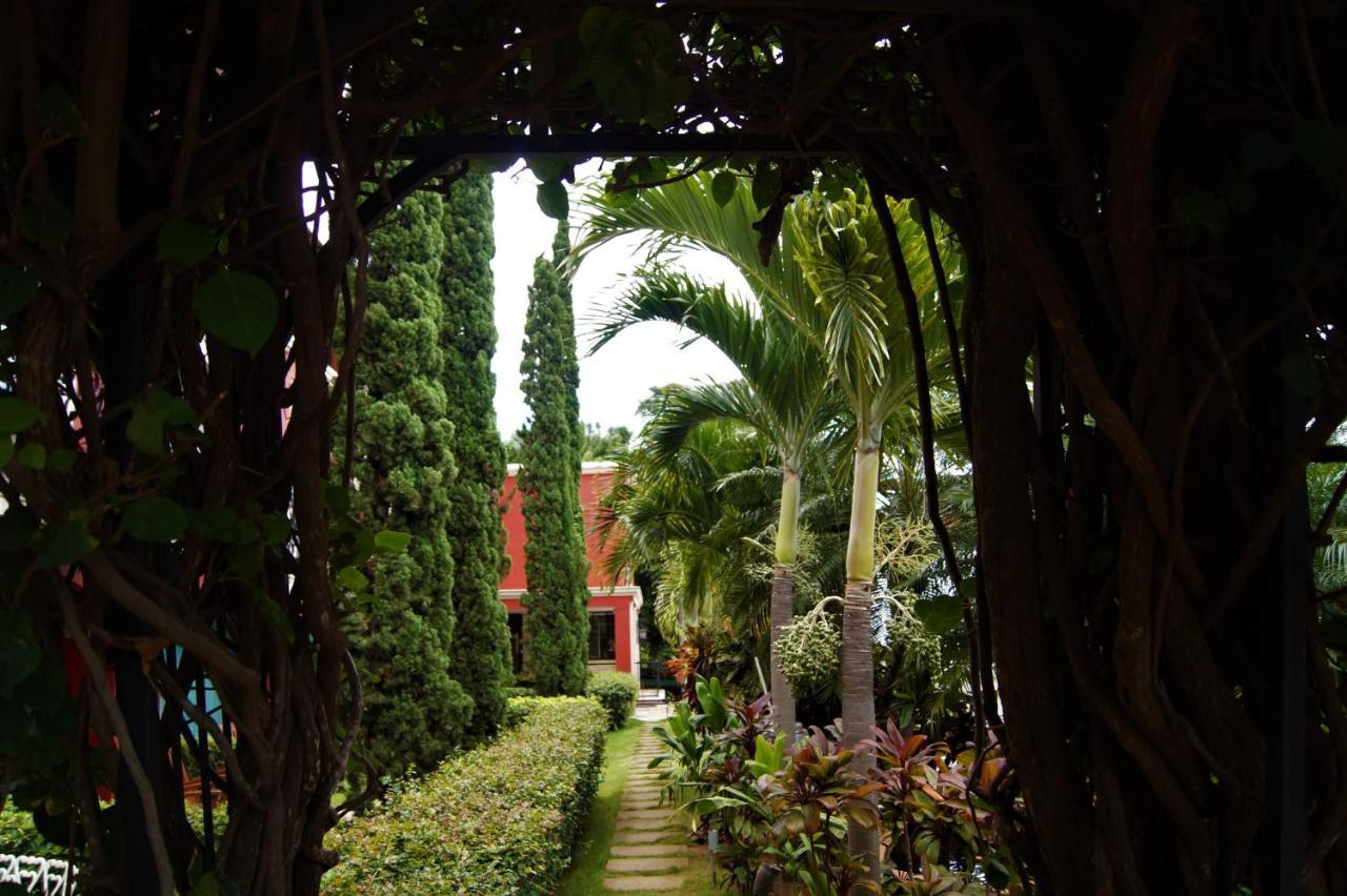 Los Altos Apartments & Studios Managua Eksteriør billede