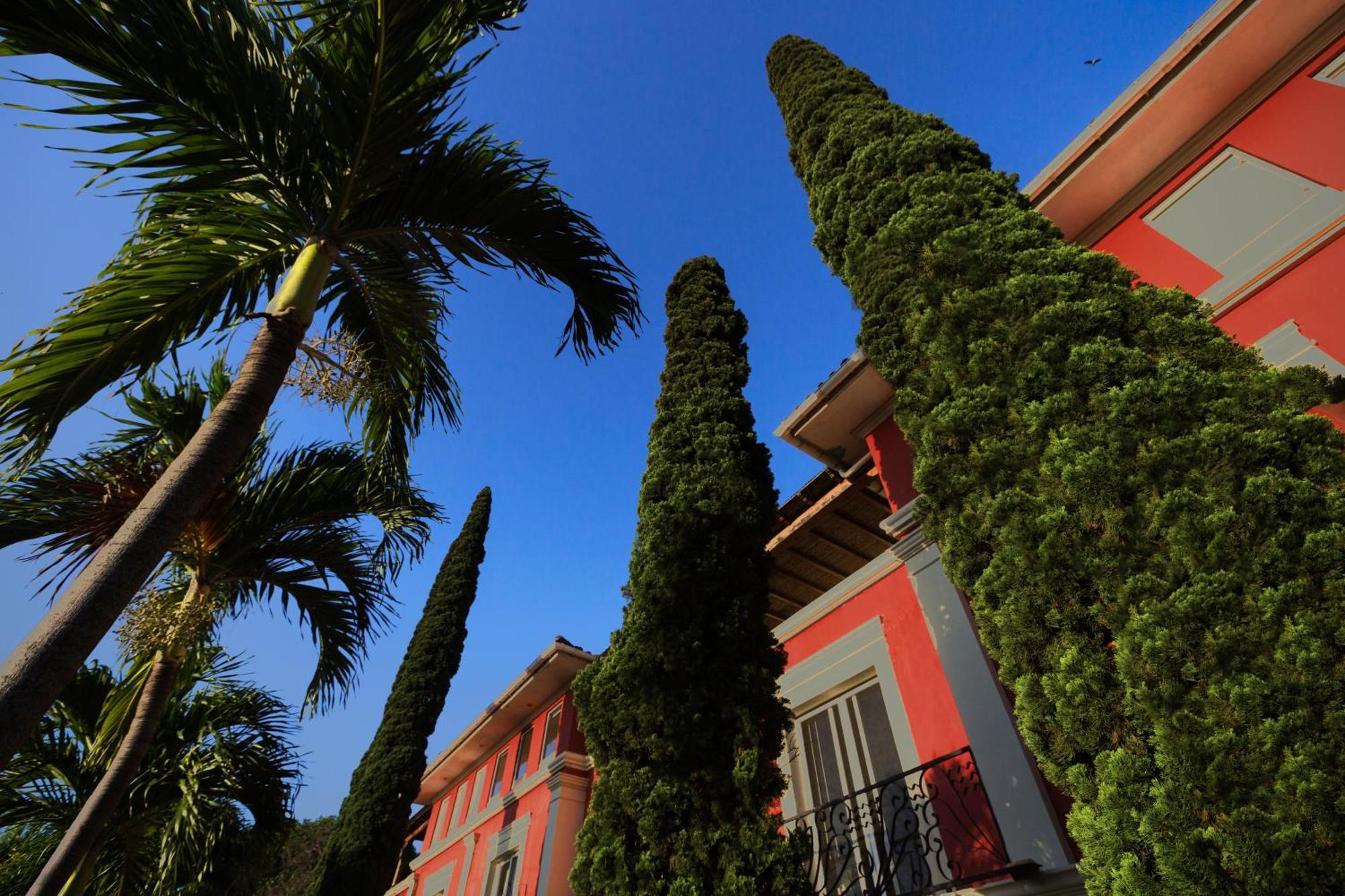 Los Altos Apartments & Studios Managua Eksteriør billede